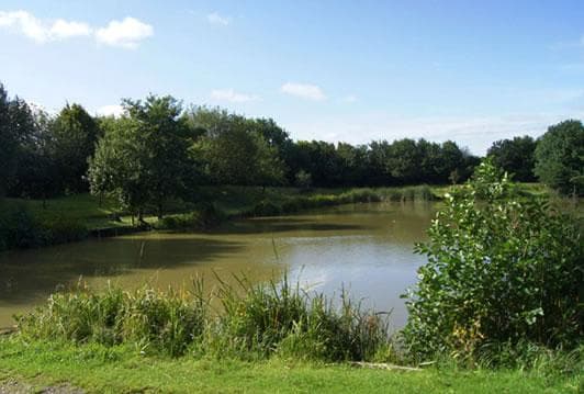 Main view of Chestnut Holiday Cottages