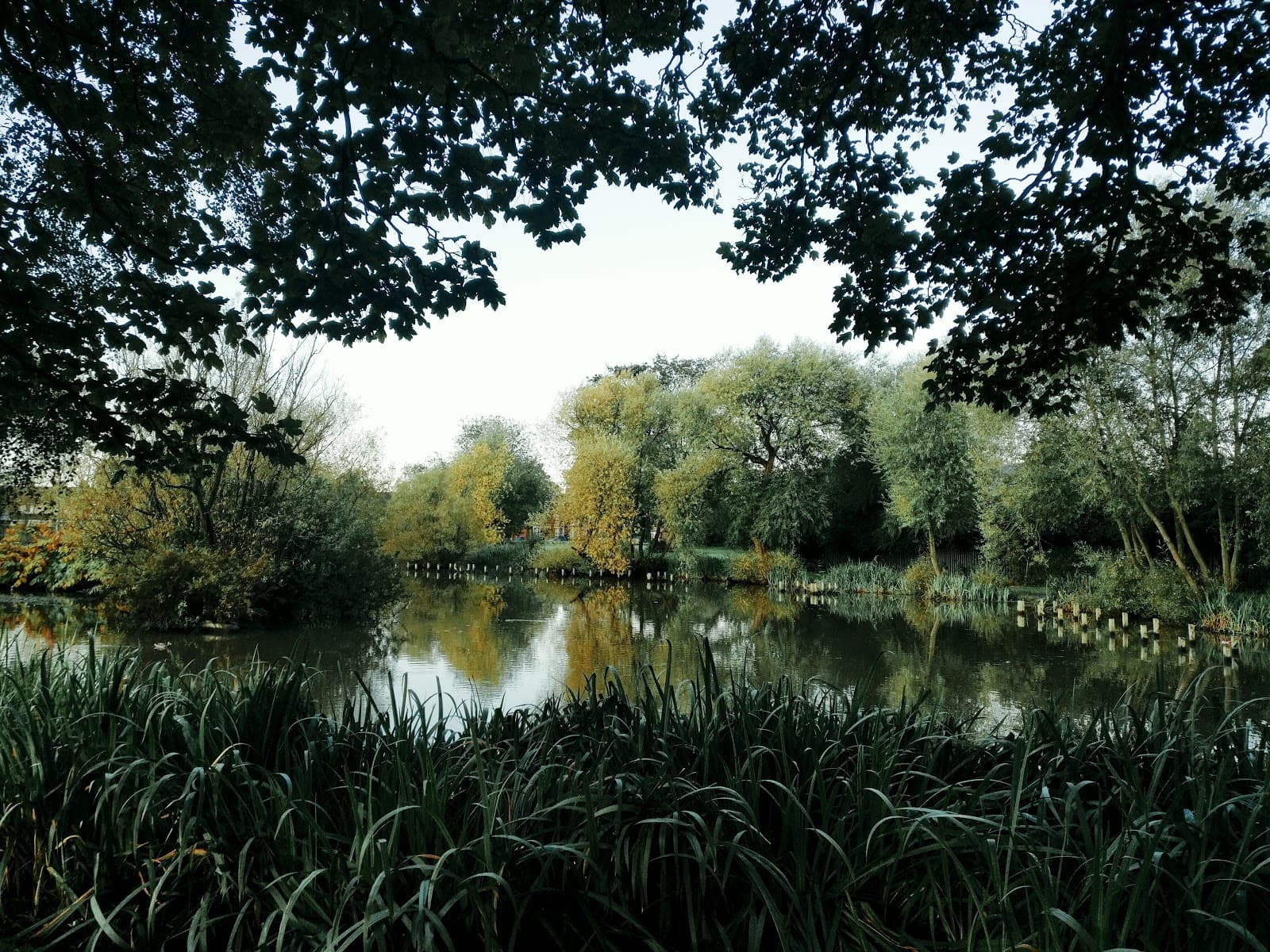 Main view of Larkhill Park Lake