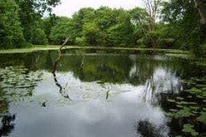 Main view of Speke Hall Dam