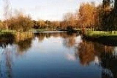 Main view of Mill Farm Fishery Lakes & Camping