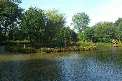 Main view of Manor Pool