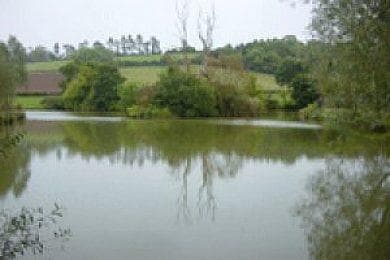 Main view of Thurlbear Pond