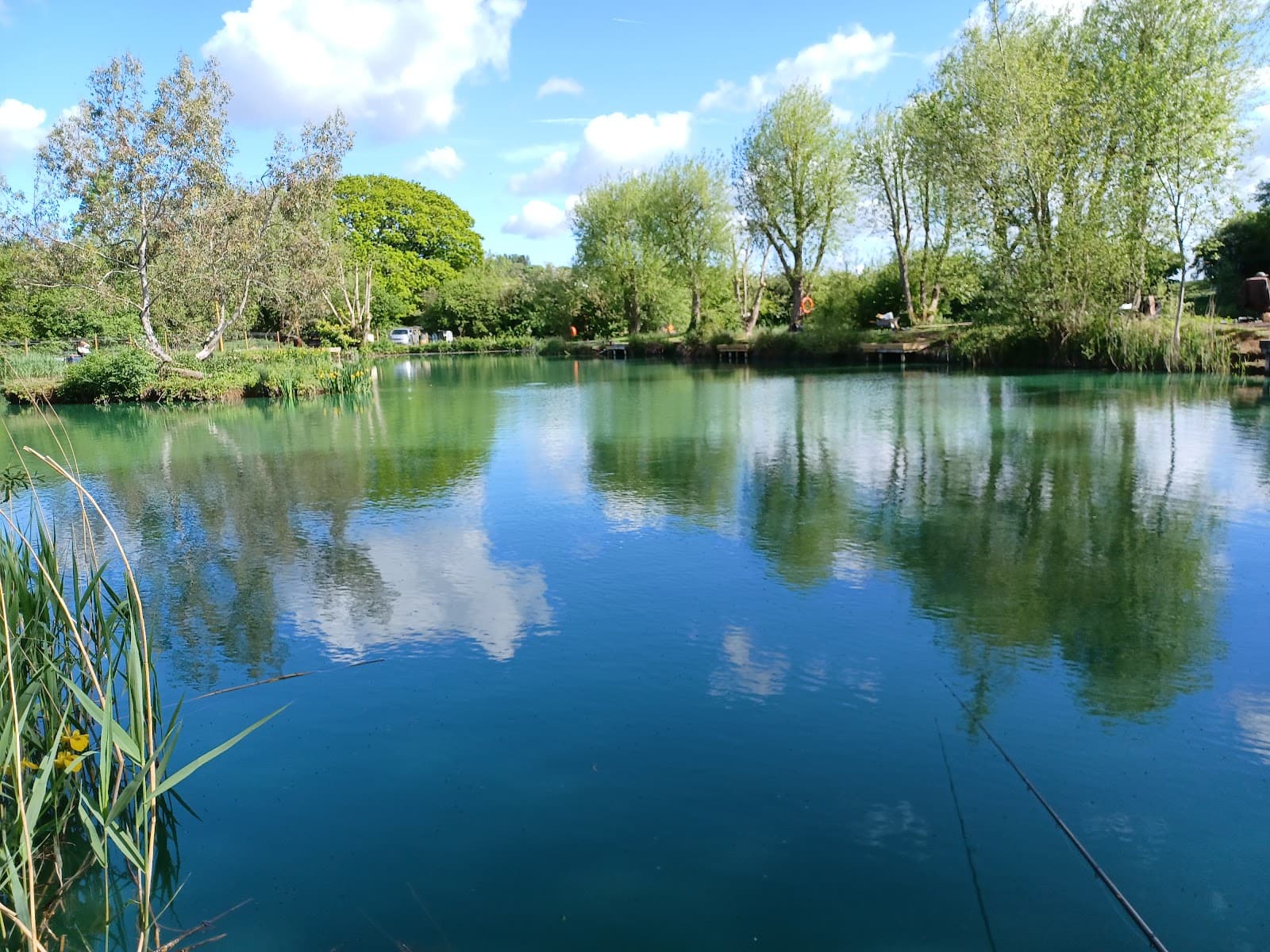 Main view of null