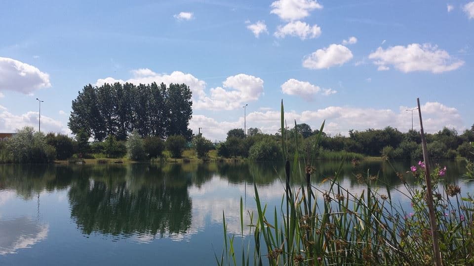Main view of Five Acre Lake