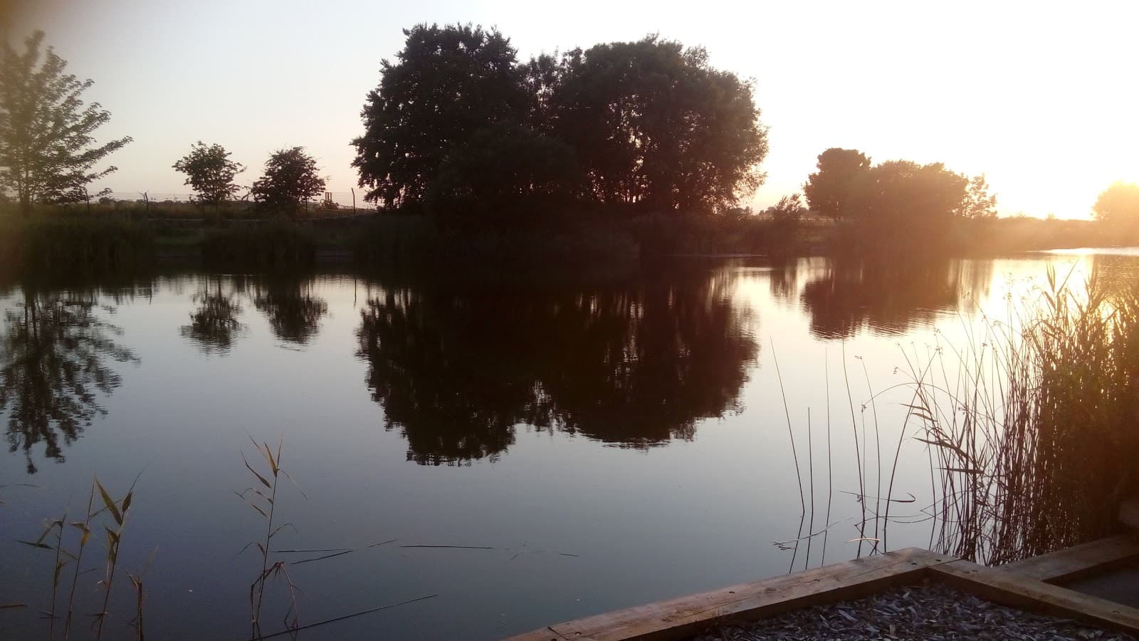 Main view of Star Carr Trout Farm & Fishery