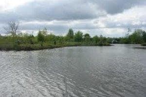 Main view of Cornhill Coarse Fishing