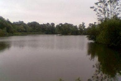 Main view of Kingfisher Carp Syndicate Lakes