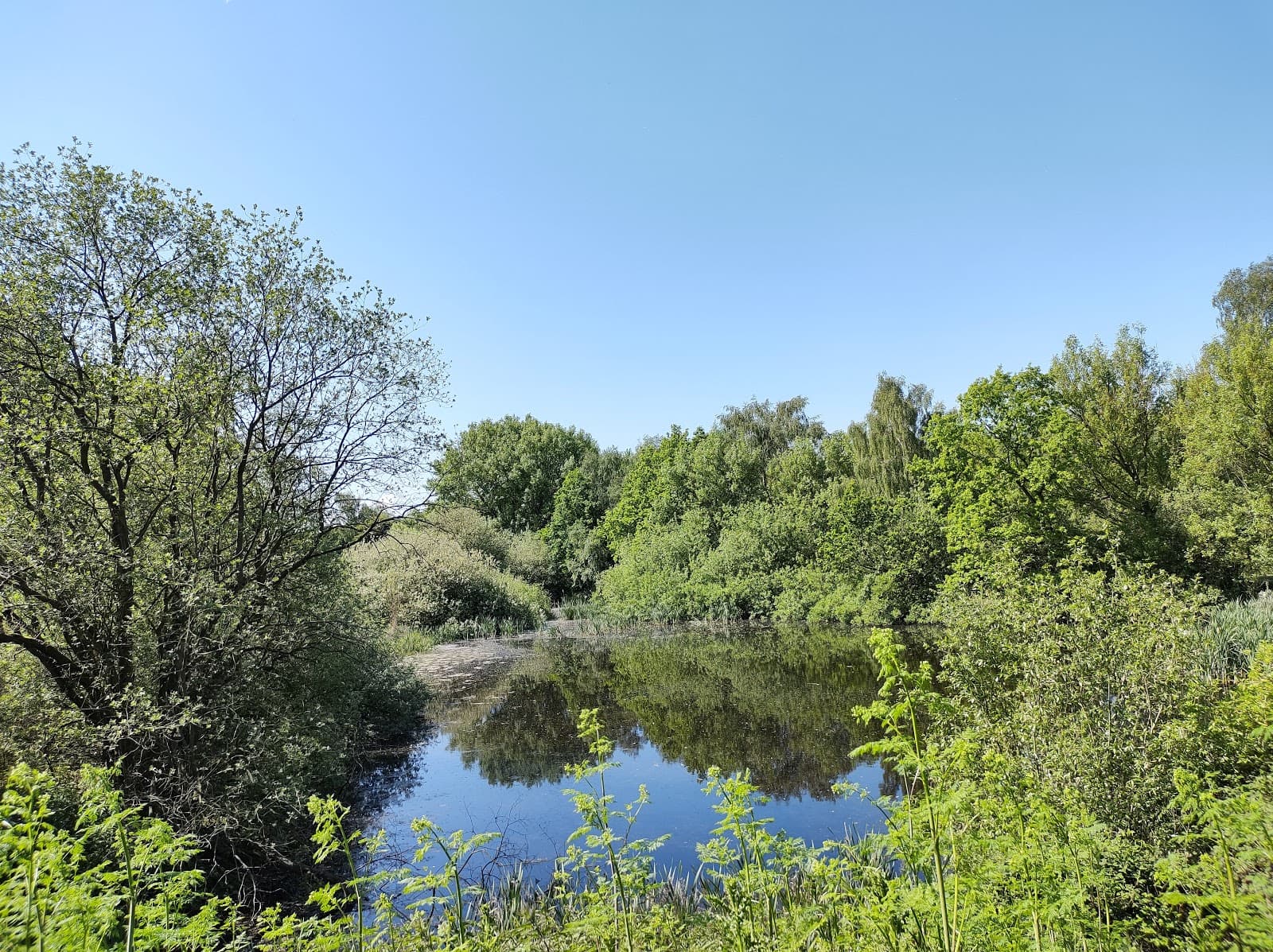 Main view of null