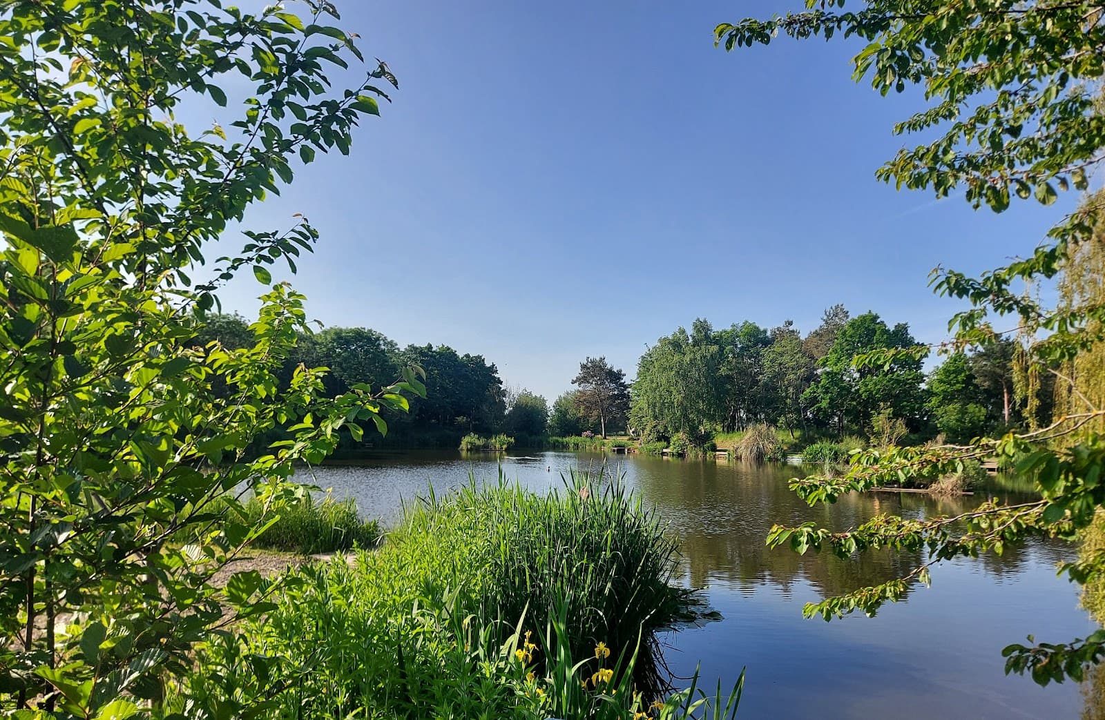 Main view of null