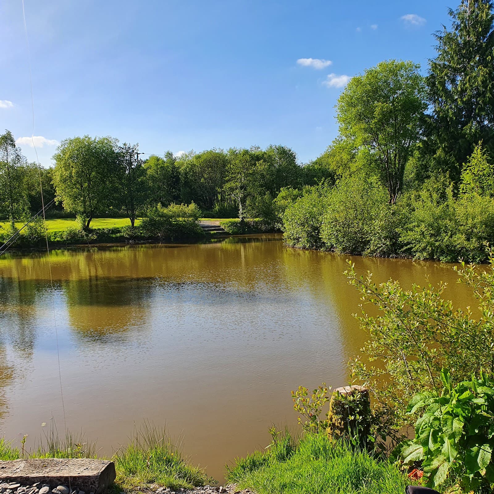 Main view of null