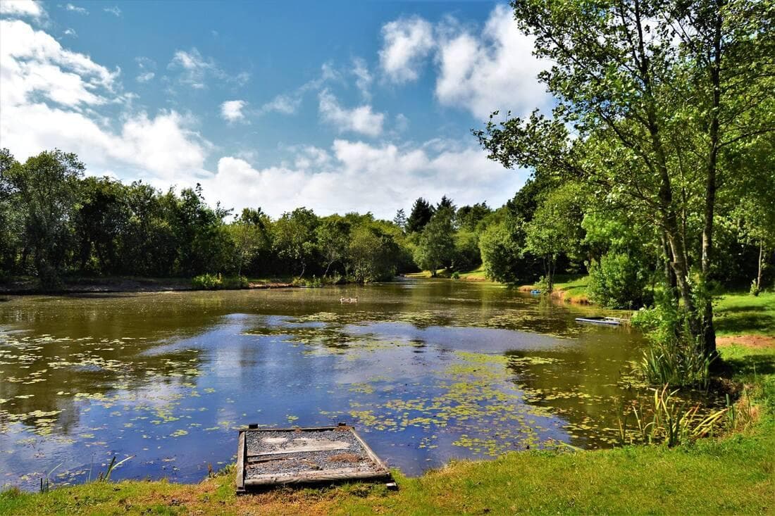 Main view of Llyn y Gors Fishery