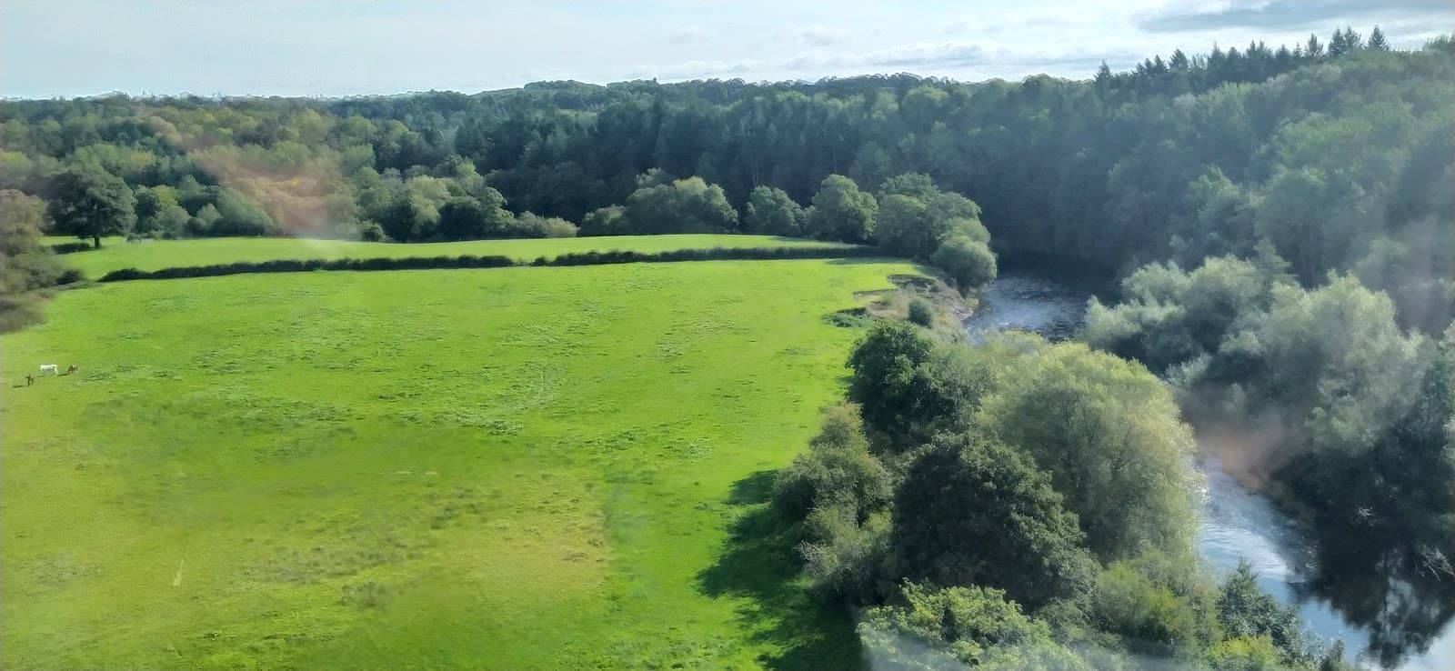 Main view of Wynnstay Carp Fishery