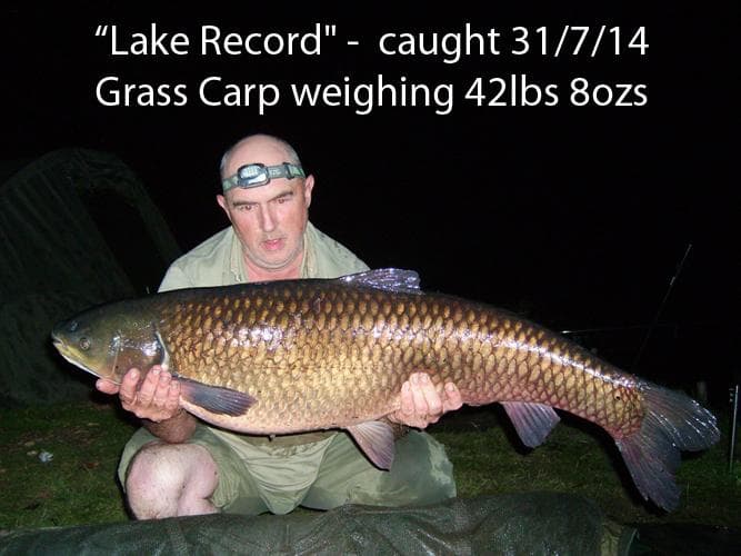 View 3 of 6 of Wynnstay Carp Fishery