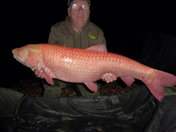 View 5 of 6 of Wynnstay Carp Fishery