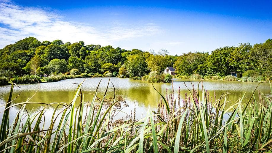 View 4 of 4 of Ian Heaps Fishing Resort