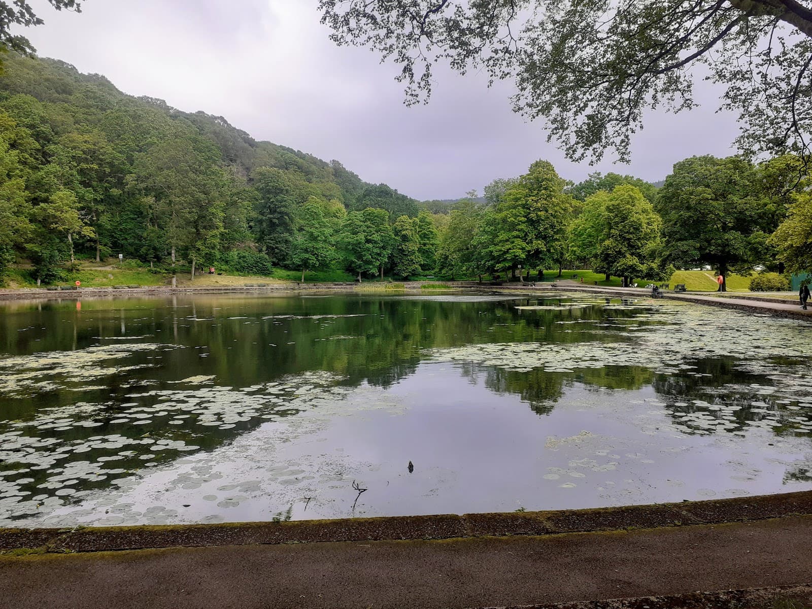 View 3 of 3 of Darran Park