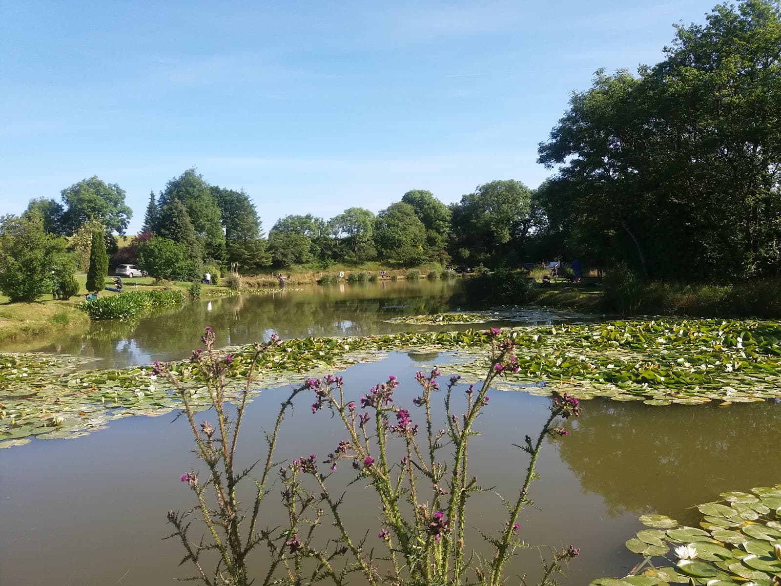 Main view of null