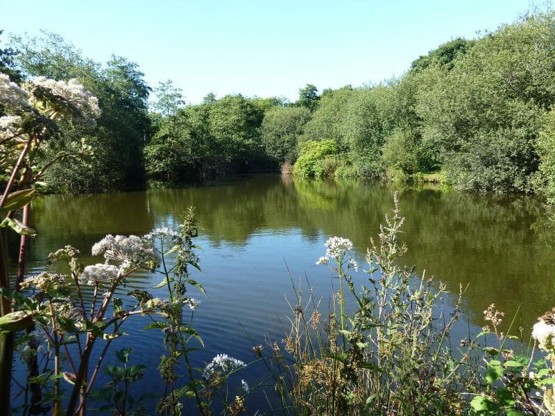 Main view of Coombe Mill Family Farm Holidays