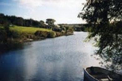 Main view of null