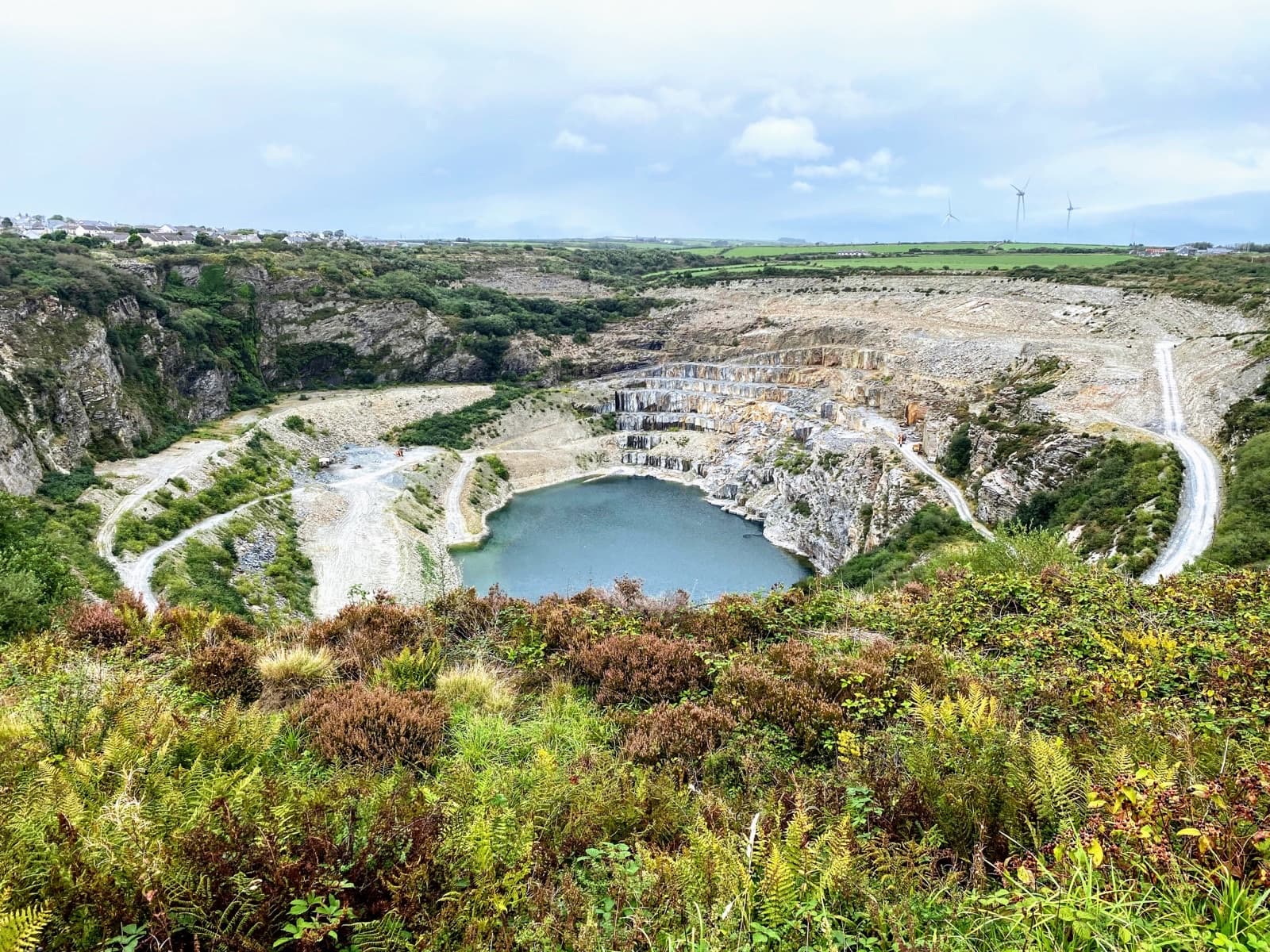 Main view of Ferndale Coarse Fishing Lakes