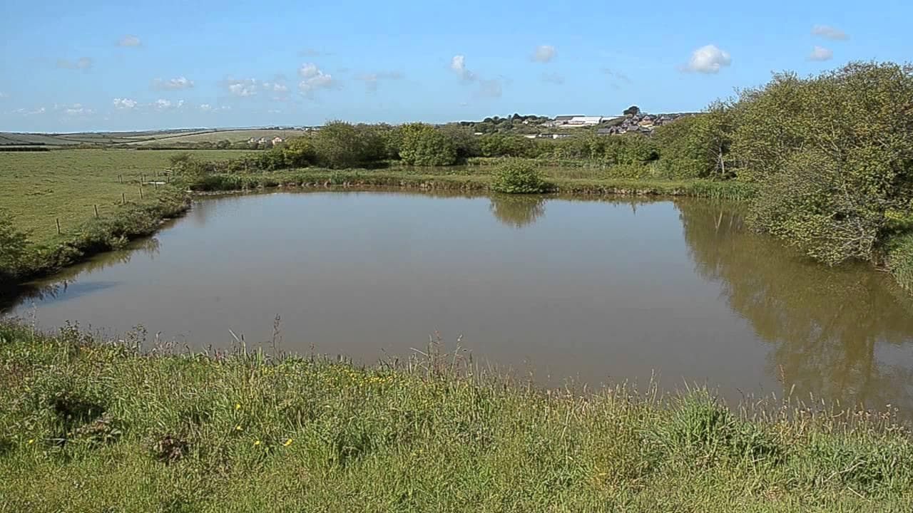 Main view of Borlasevath
