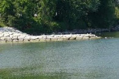 Main view of Burlington Pond