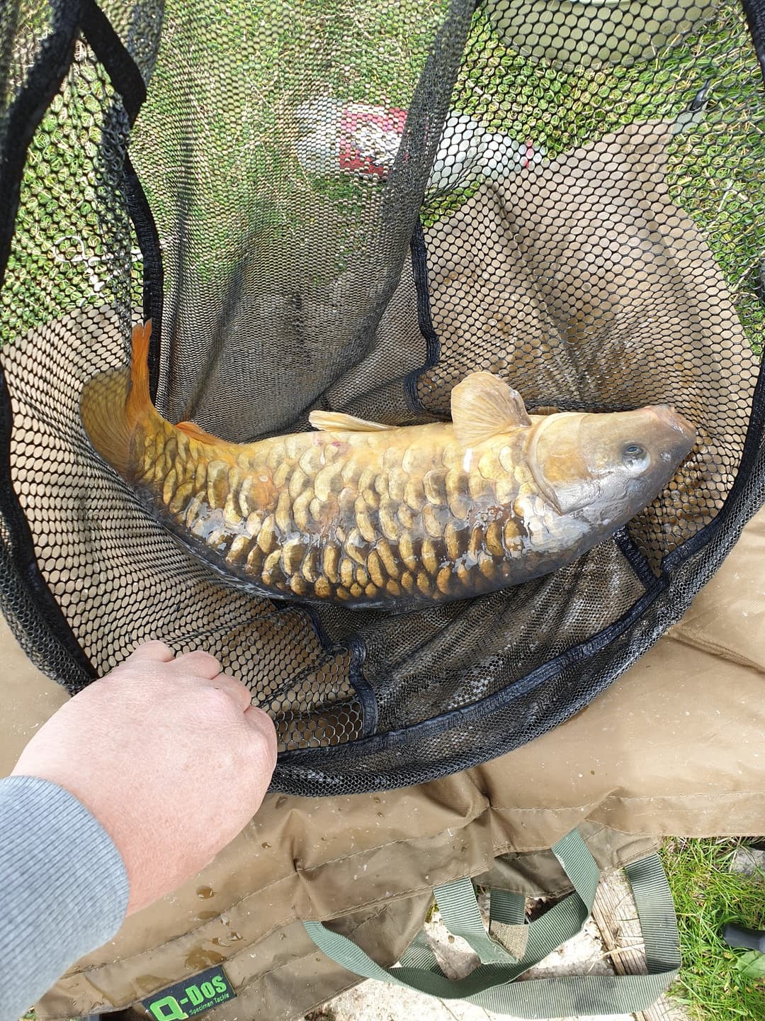 Birch House Lakes - Fishing Location in Derbyshire - Details, Species ...