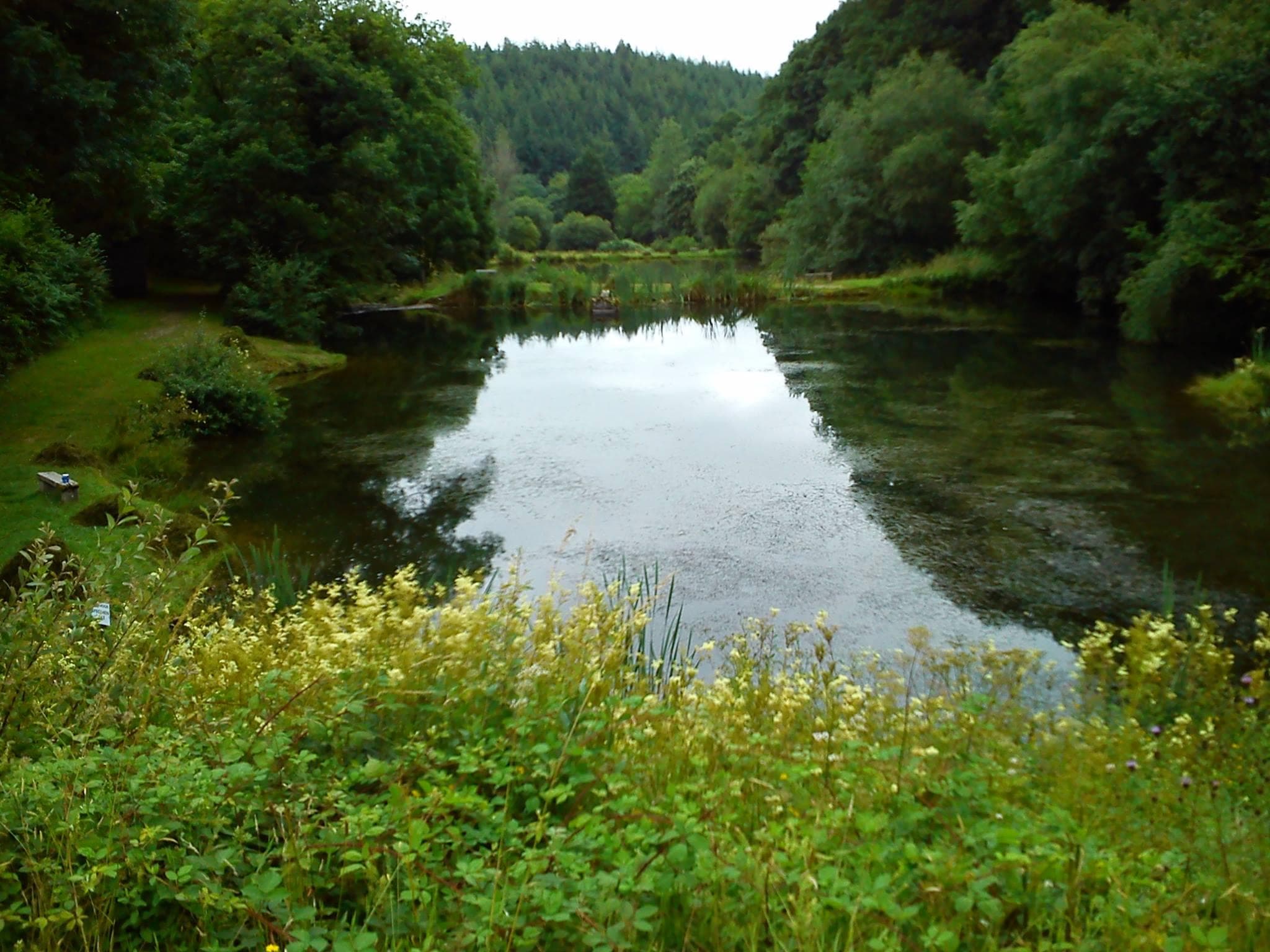 View 2 of 3 of null