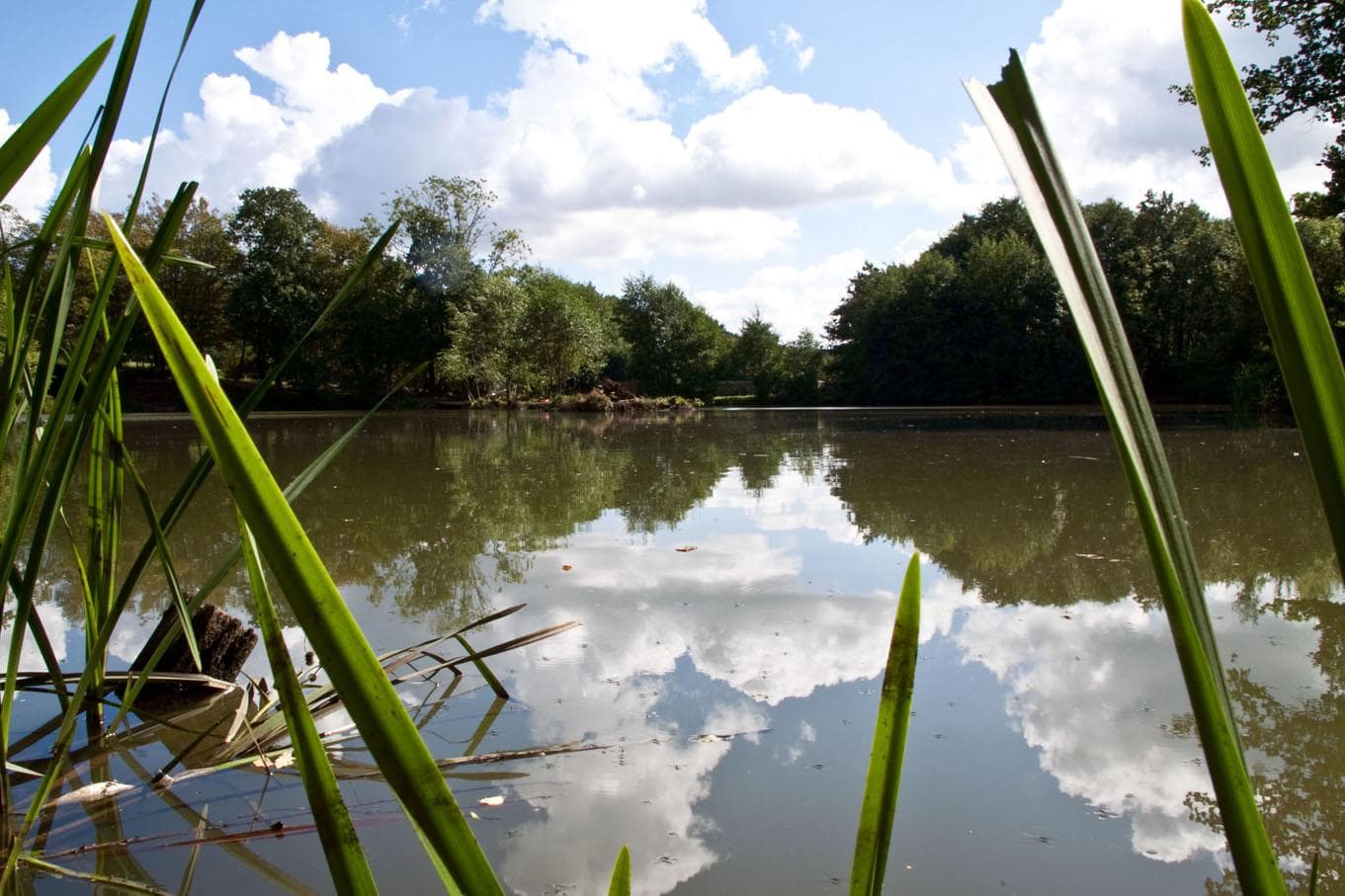 Main view of Springwood Fisheries