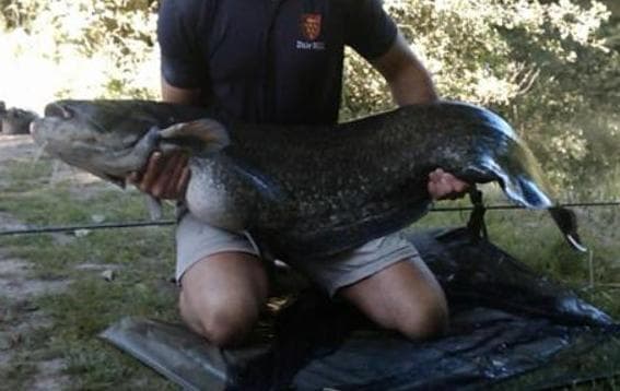 View 2 of 3 of Springwood Fisheries