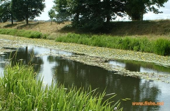 Main view of River Rother