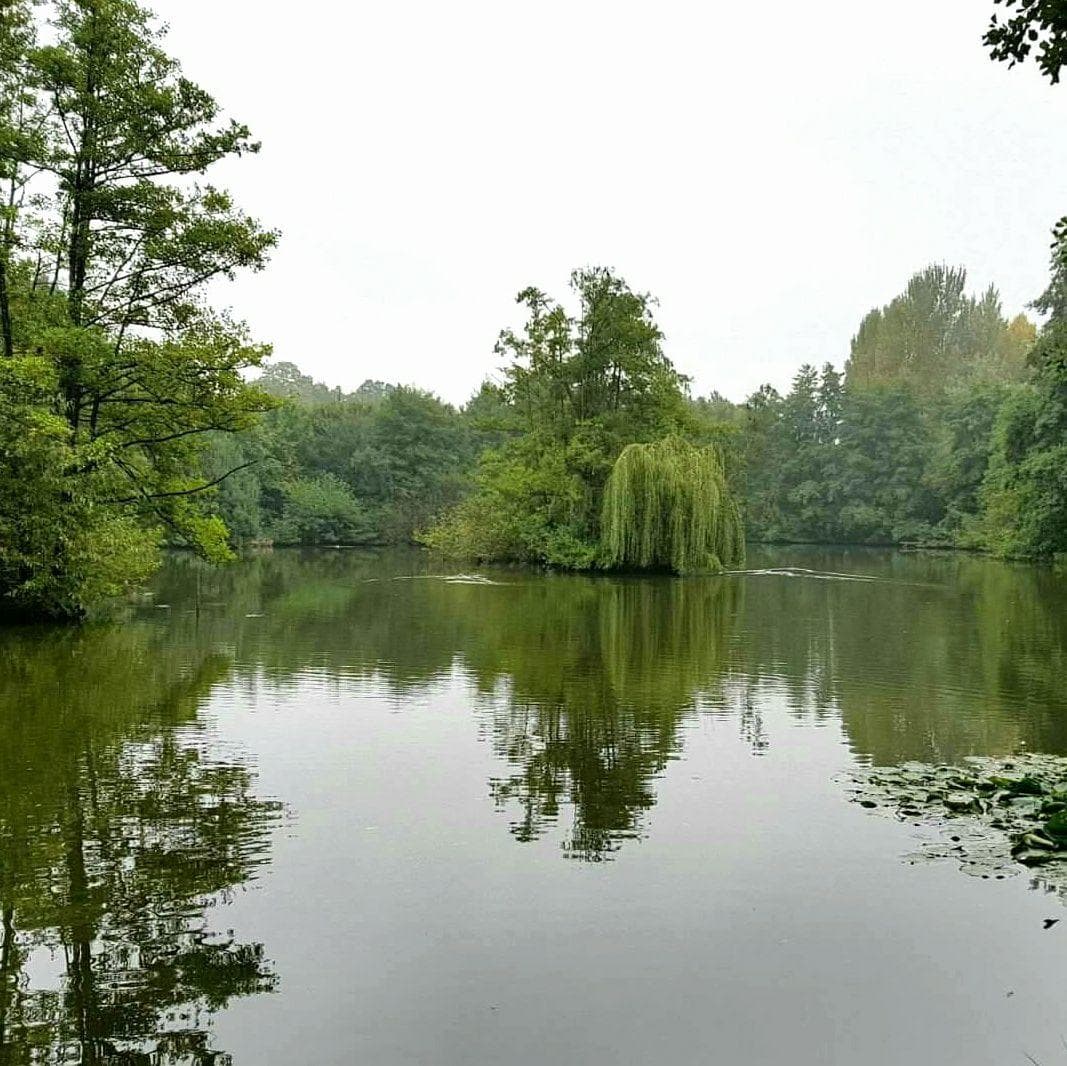 Main view of null