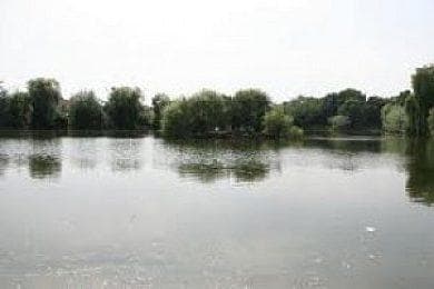 Main view of Marks Hall Fishery