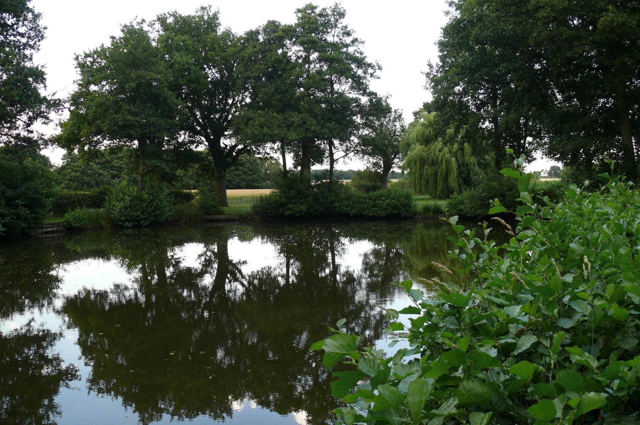 Main view of Brick Farm Lakes Trout Fishery