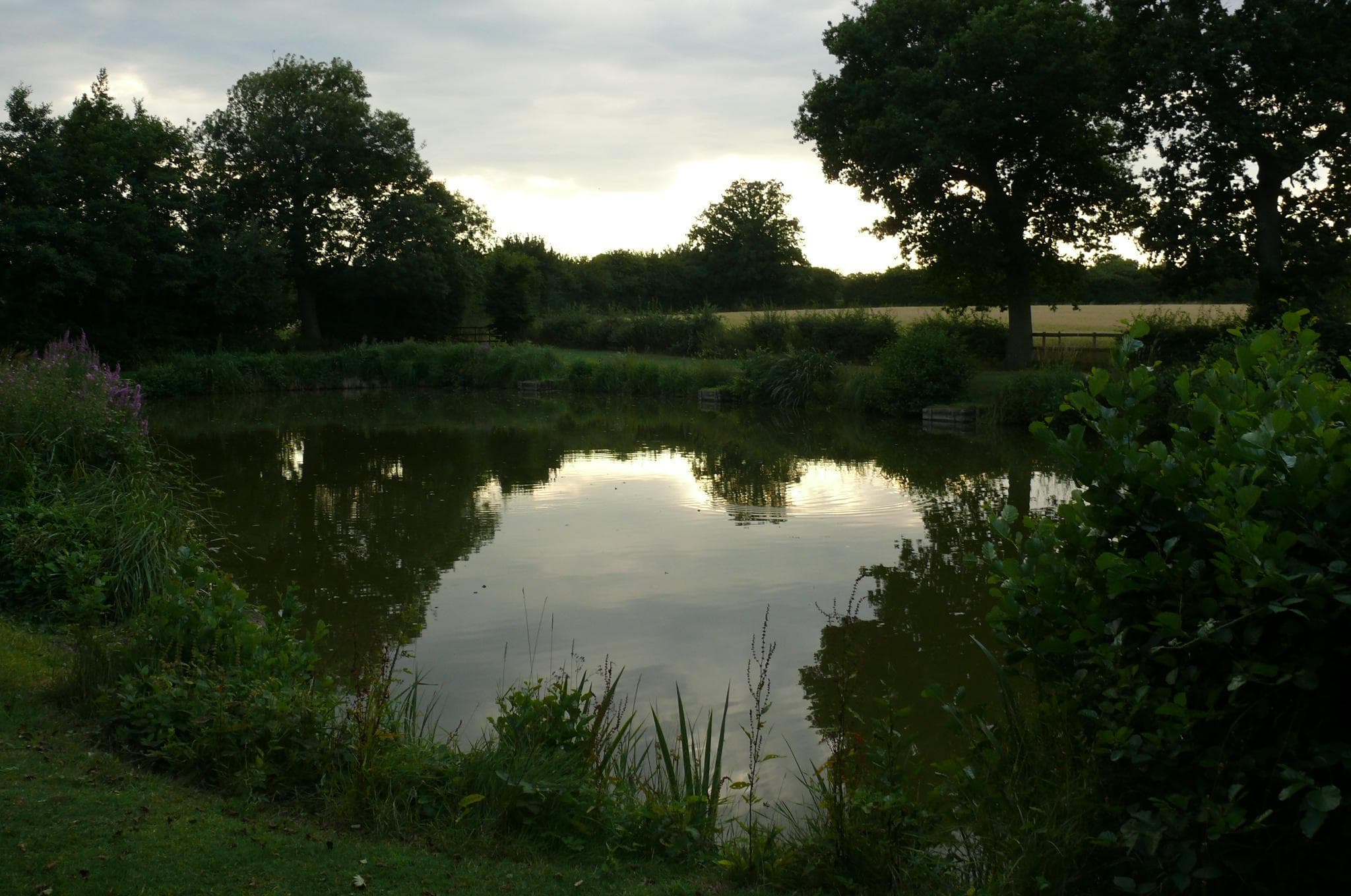 View 2 of 6 of Brick Farm Lakes Trout Fishery