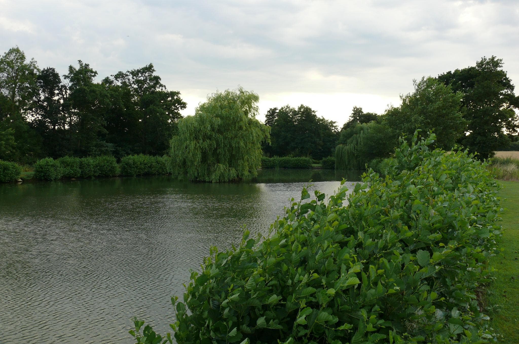 View 3 of 6 of Brick Farm Lakes Trout Fishery