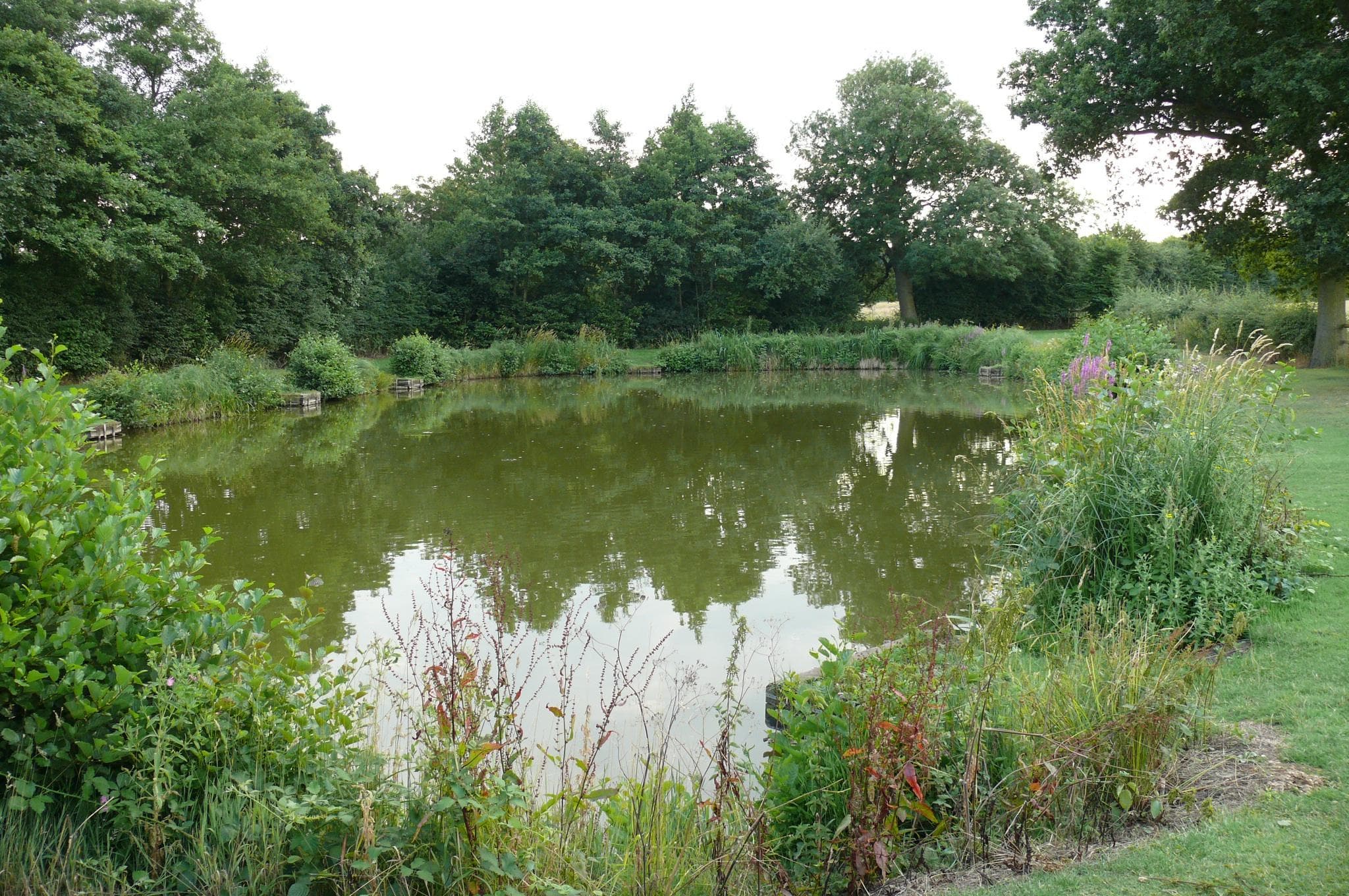 View 5 of 6 of Brick Farm Lakes Trout Fishery