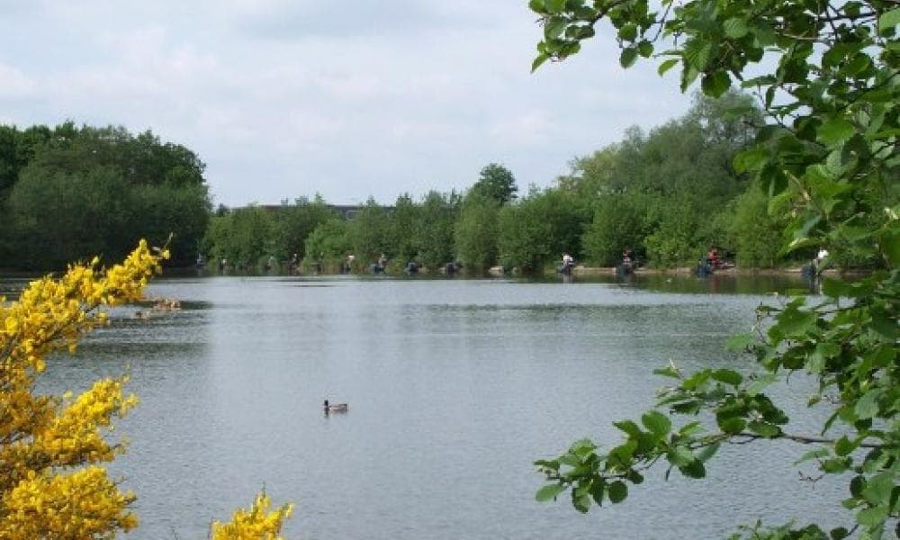Main view of Gold Valley Lakes