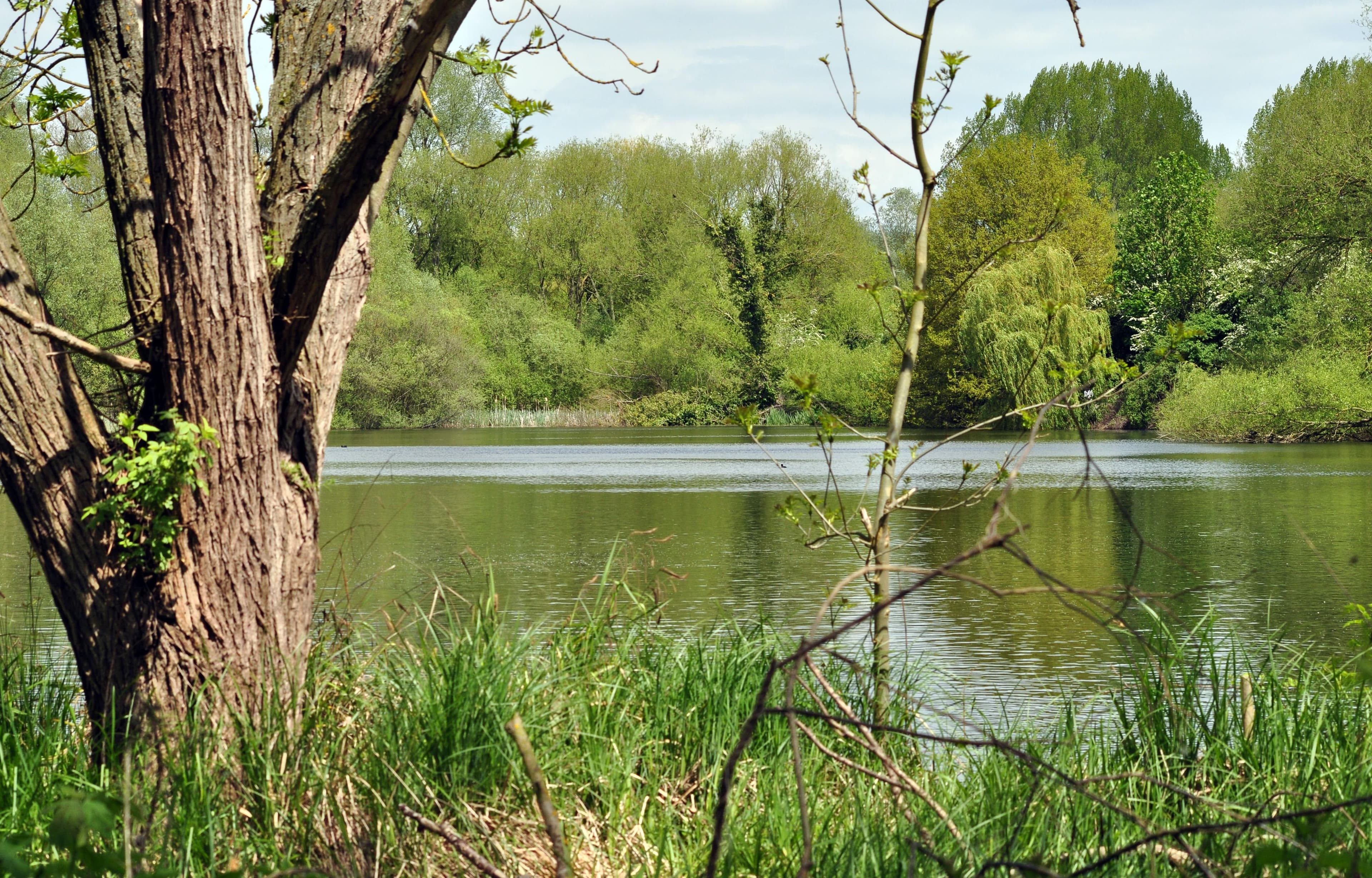 View 2 of 2 of Turnford Complex - Marsh Pit