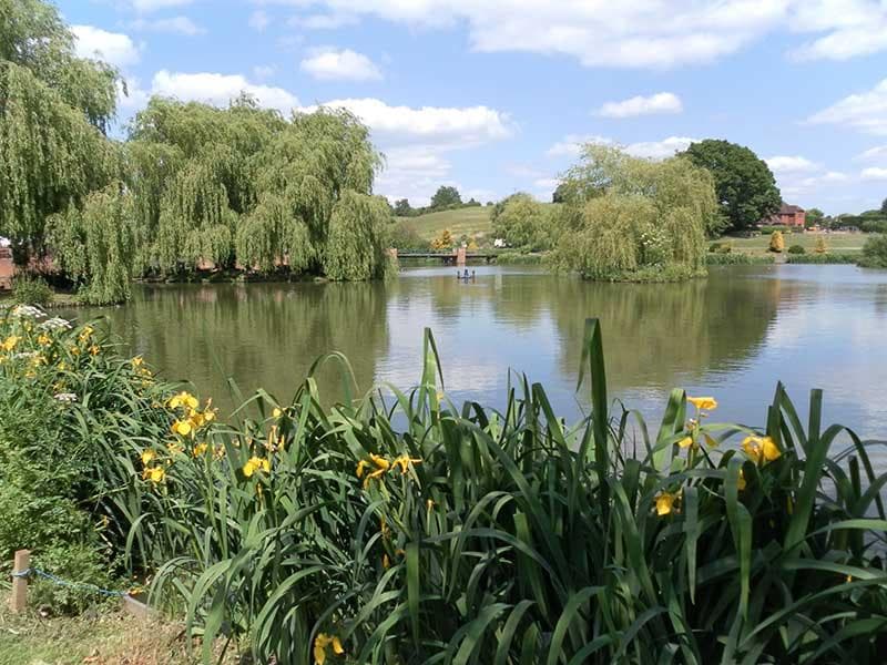 Main view of Hawkhurst - Main Lake