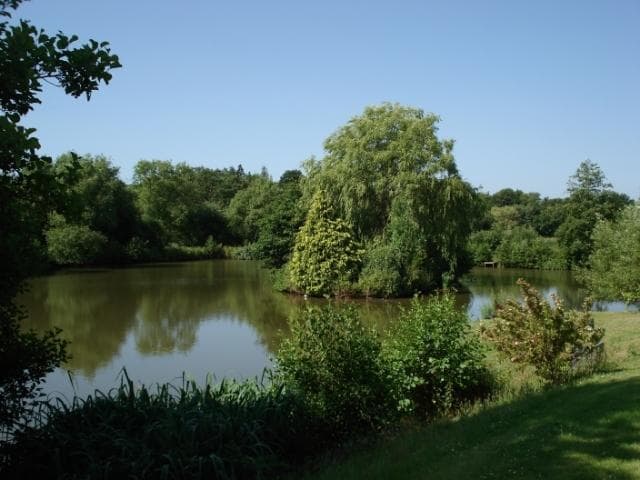 Main view of Hawkhurst - Dove Lake