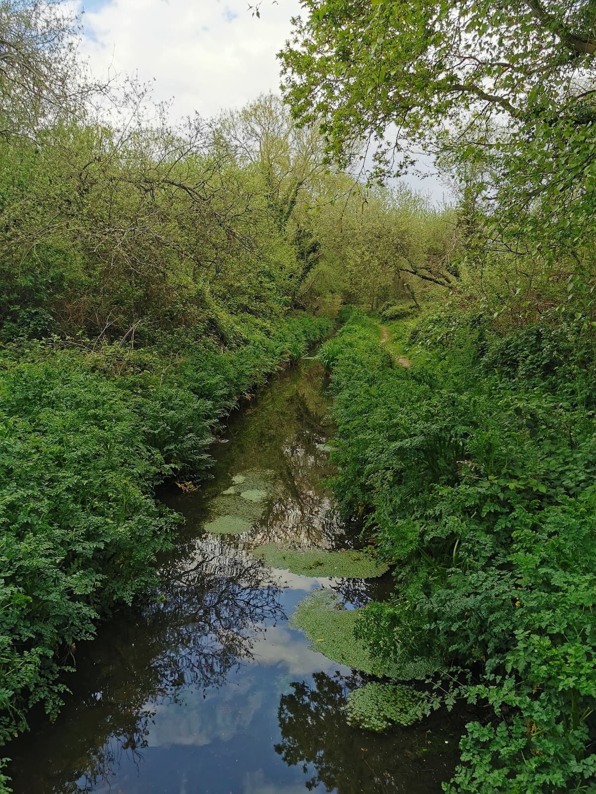 Main view of Medway Valley - Big Lake
