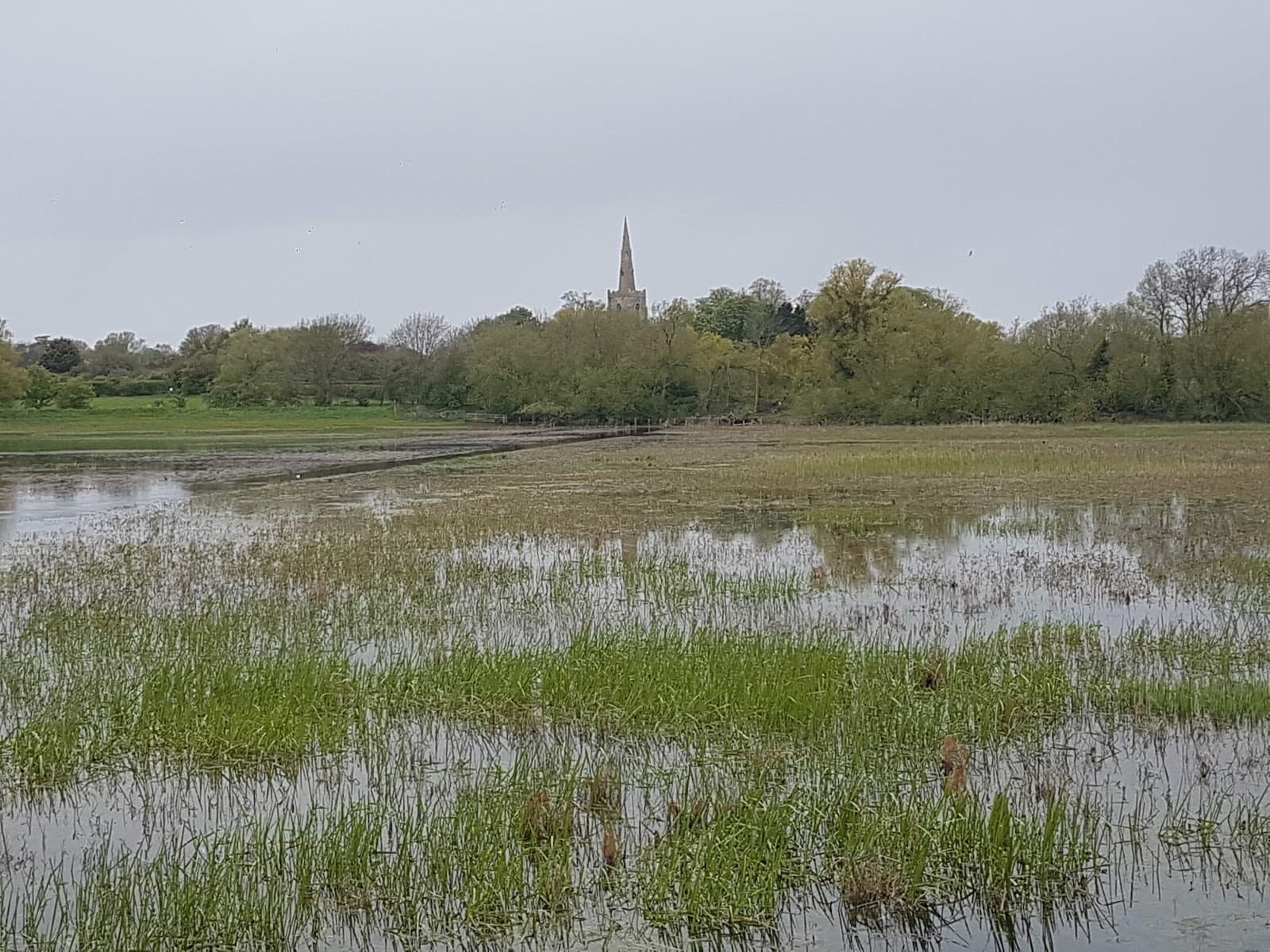 Main view of Earith Lakes Fisheries - Woodpecker Syndicate