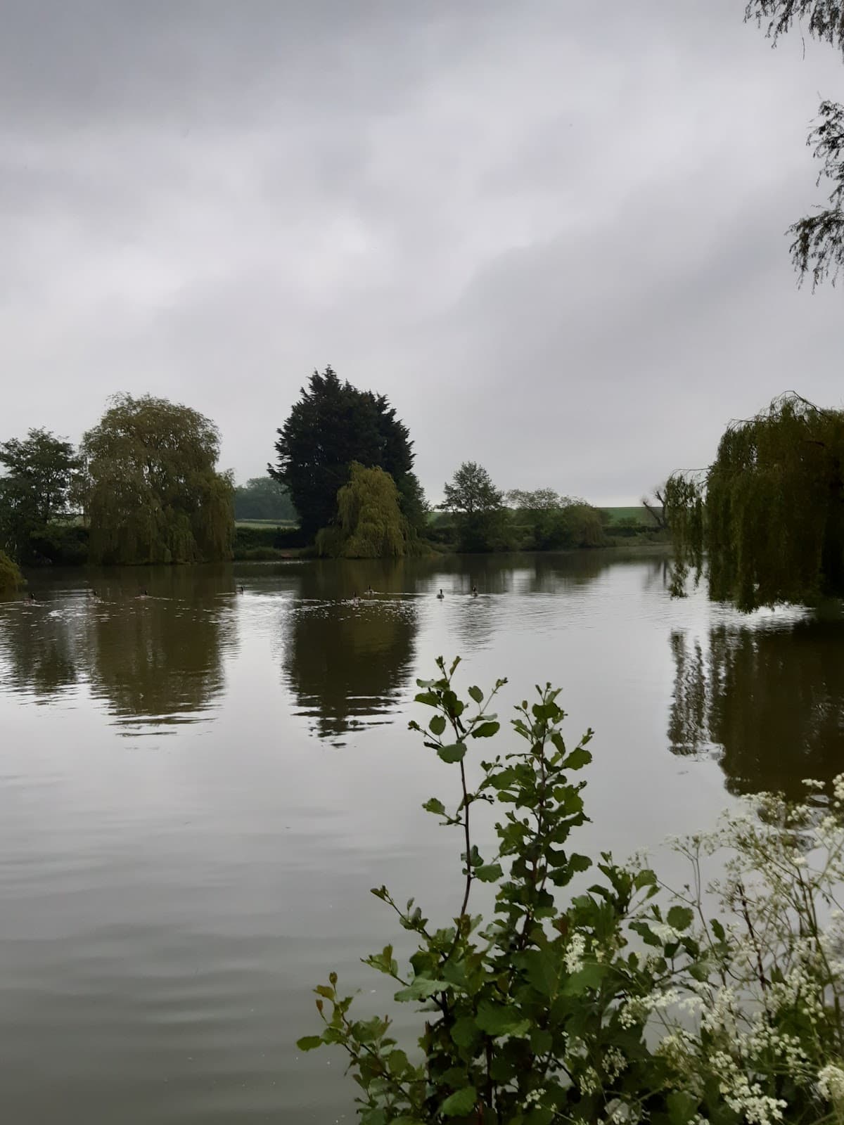 Main view of null