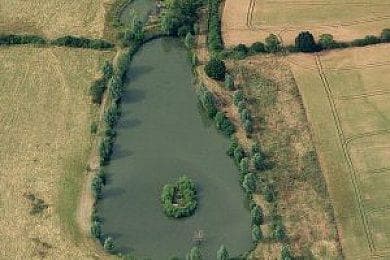 Main view of Thoby Wood previously known as Blackmores Wood Lake