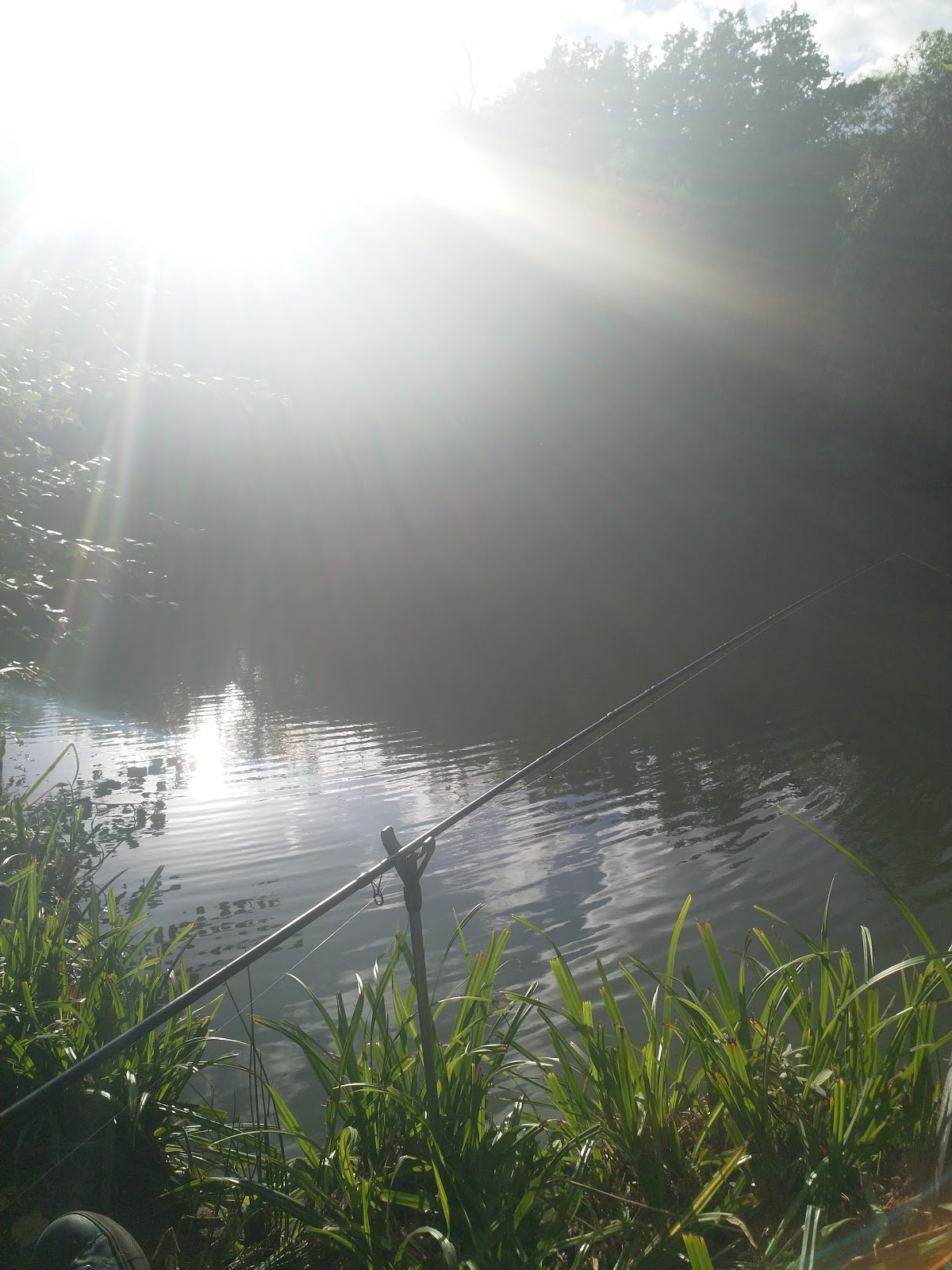 Willows Farm Fishery - Image 1