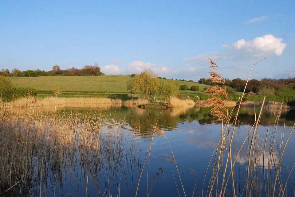 Picks Cottage Fishery - Image 1