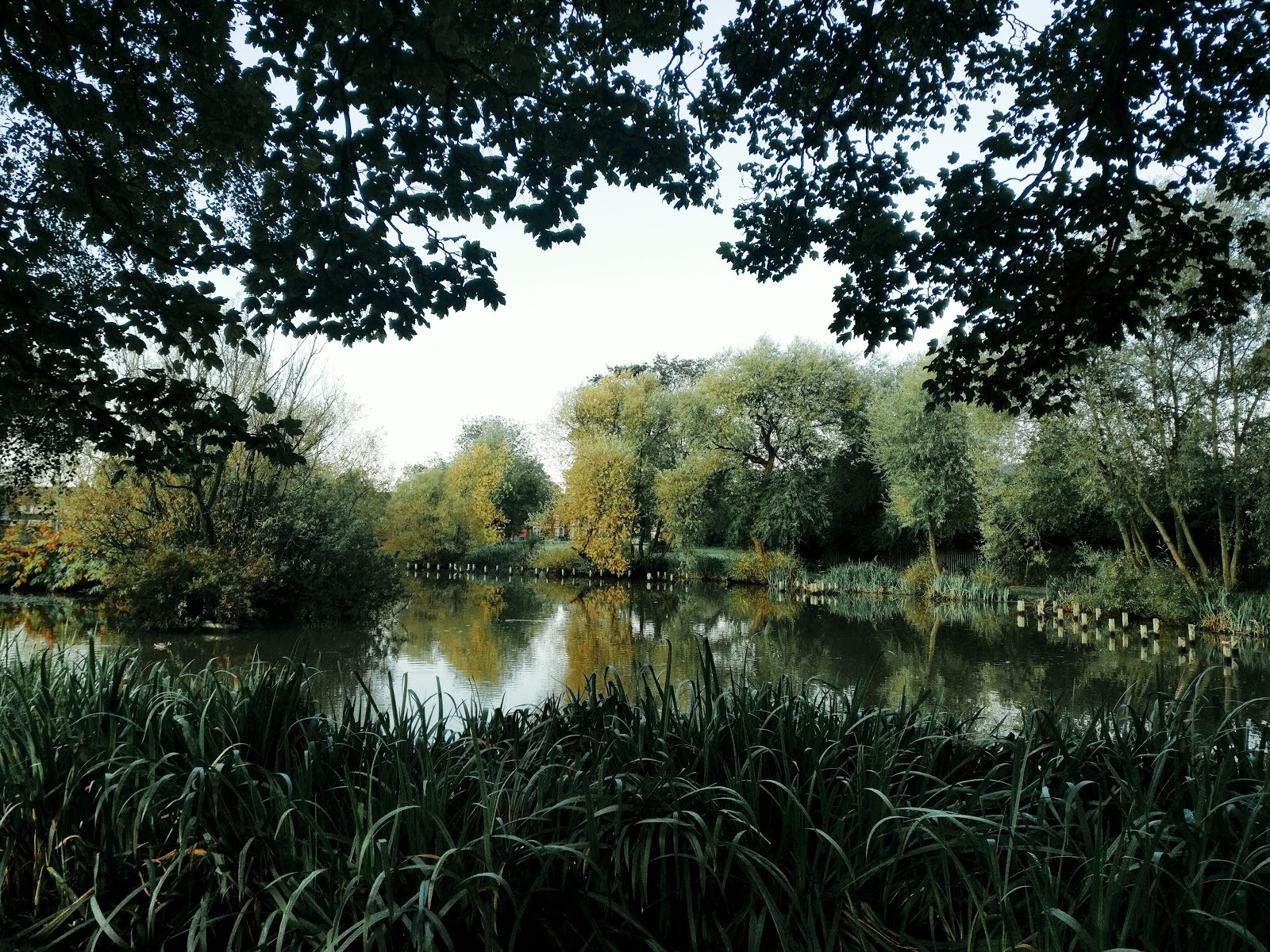 Larkhill Park Lake - Image 1