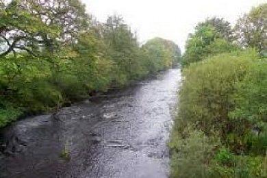 River Rede - Image 1