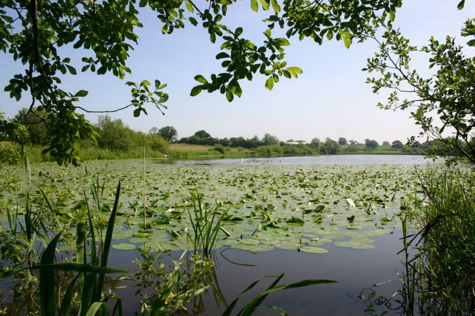 Blakemere Fishery - Image 2